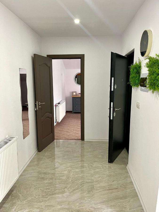 Cozy Apartament With 2Rooms Τιμισοάρα Εξωτερικό φωτογραφία