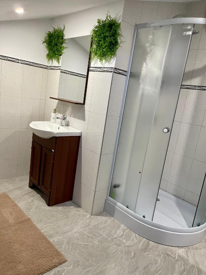 Cozy Apartament With 2Rooms Τιμισοάρα Εξωτερικό φωτογραφία