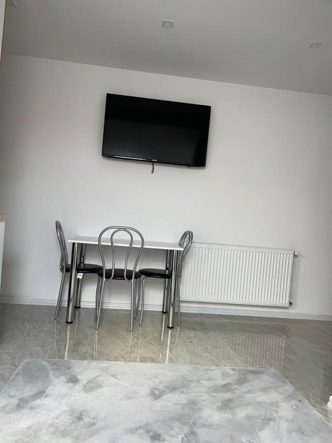 Cozy Apartament With 2Rooms Τιμισοάρα Εξωτερικό φωτογραφία